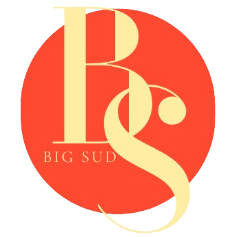 Logo big sud le big band made in sud