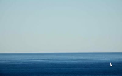 Photographie de Nicolas en Concert