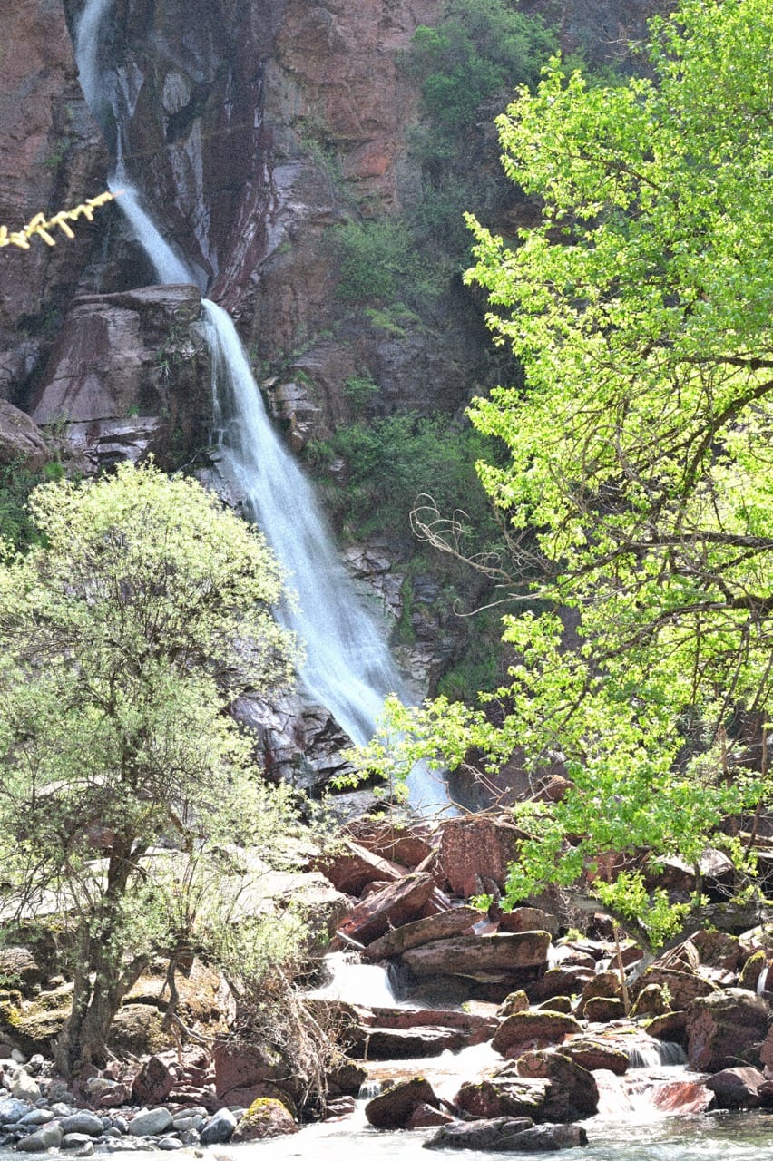 DSC_2524 - Grande